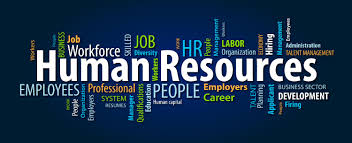 Introduction to Human Resources Management, Why Every Company Needs HR, Recruitment Professionals